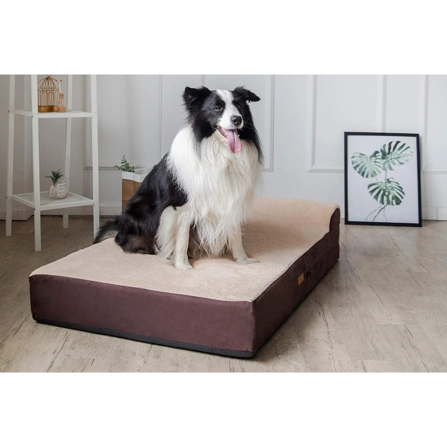 Jumbo Orthopedic Dog Bed