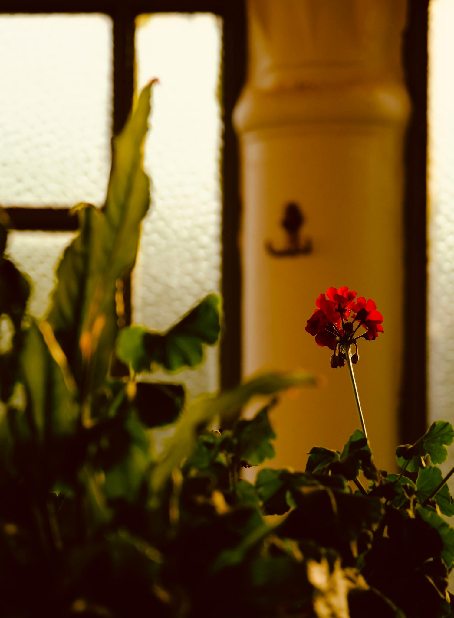 Living & Recreational