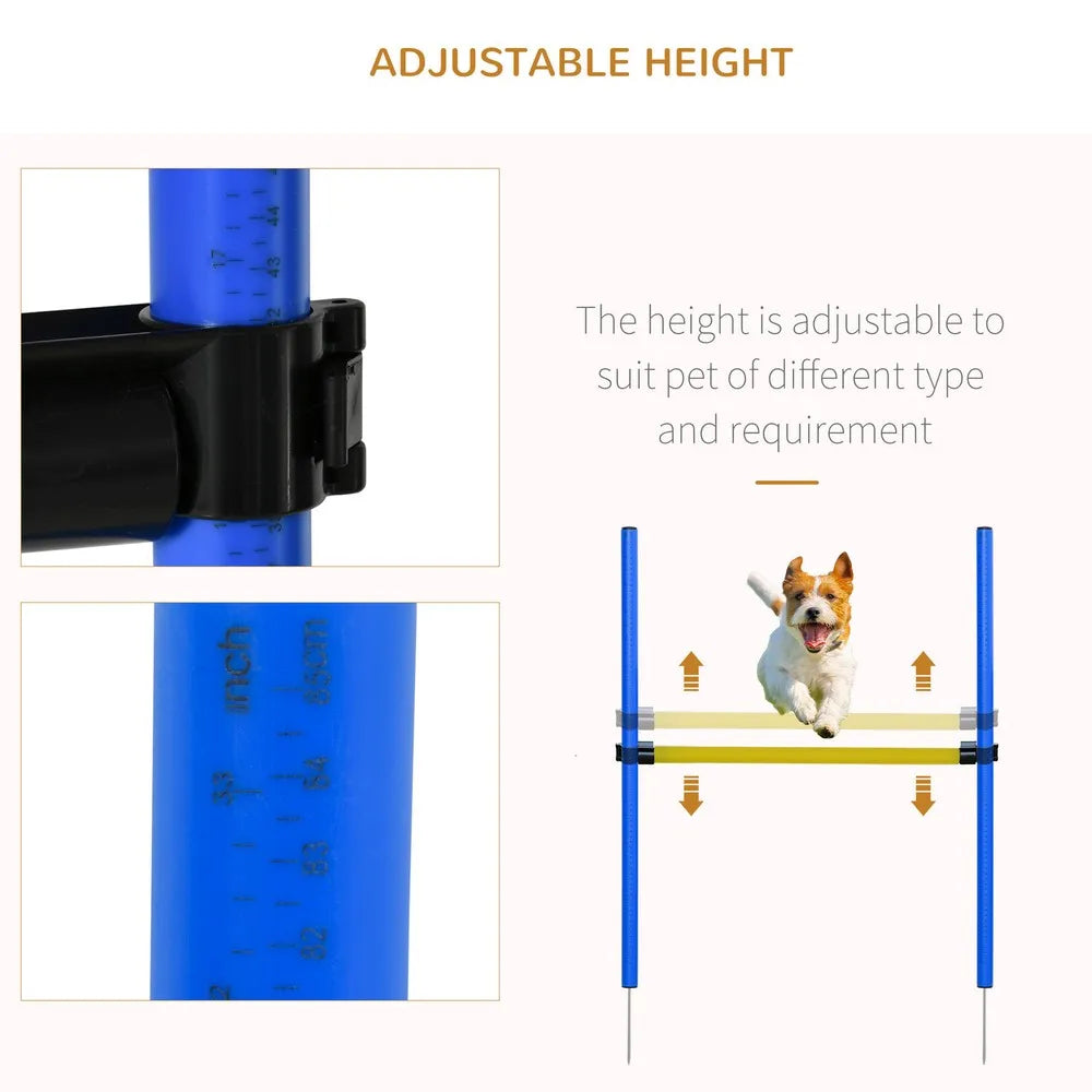 Dog Agility  Course