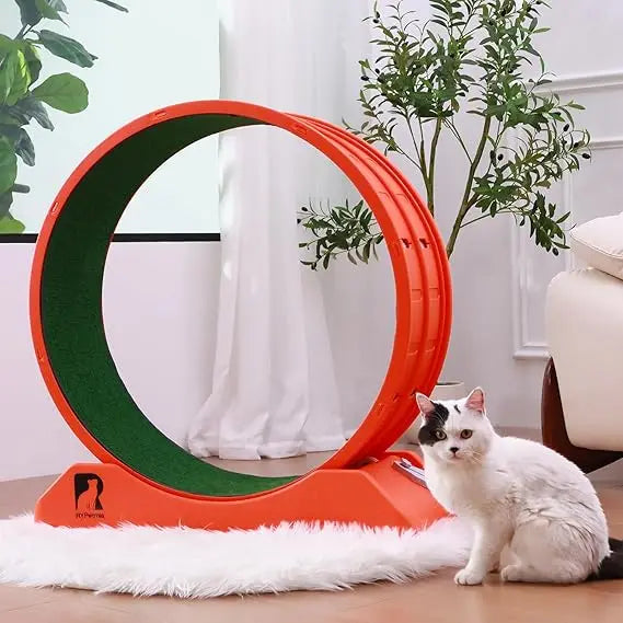 Cat Exercise Wheel