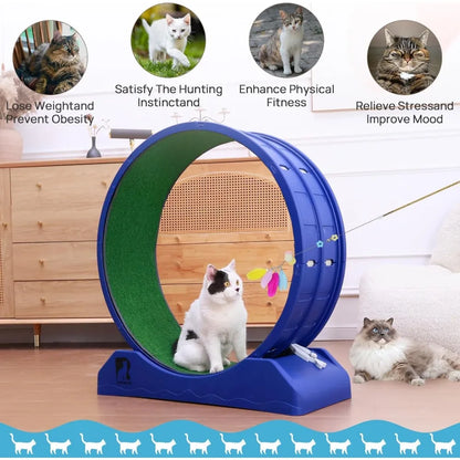 Cat Exercise Wheel
