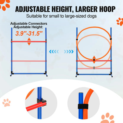 4 Piece Set Of Agility Training Equipment