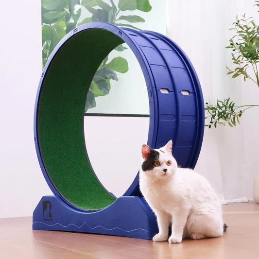Cat Exercise Wheel