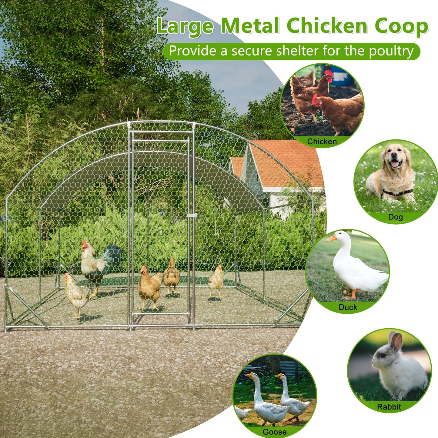Large Walk In Chicken Coop
