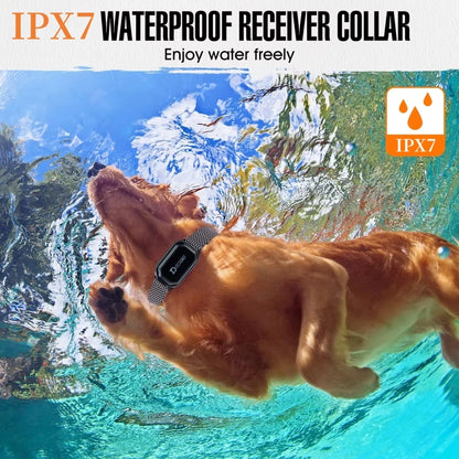 Electric Shock Collar For Training And Bark Control