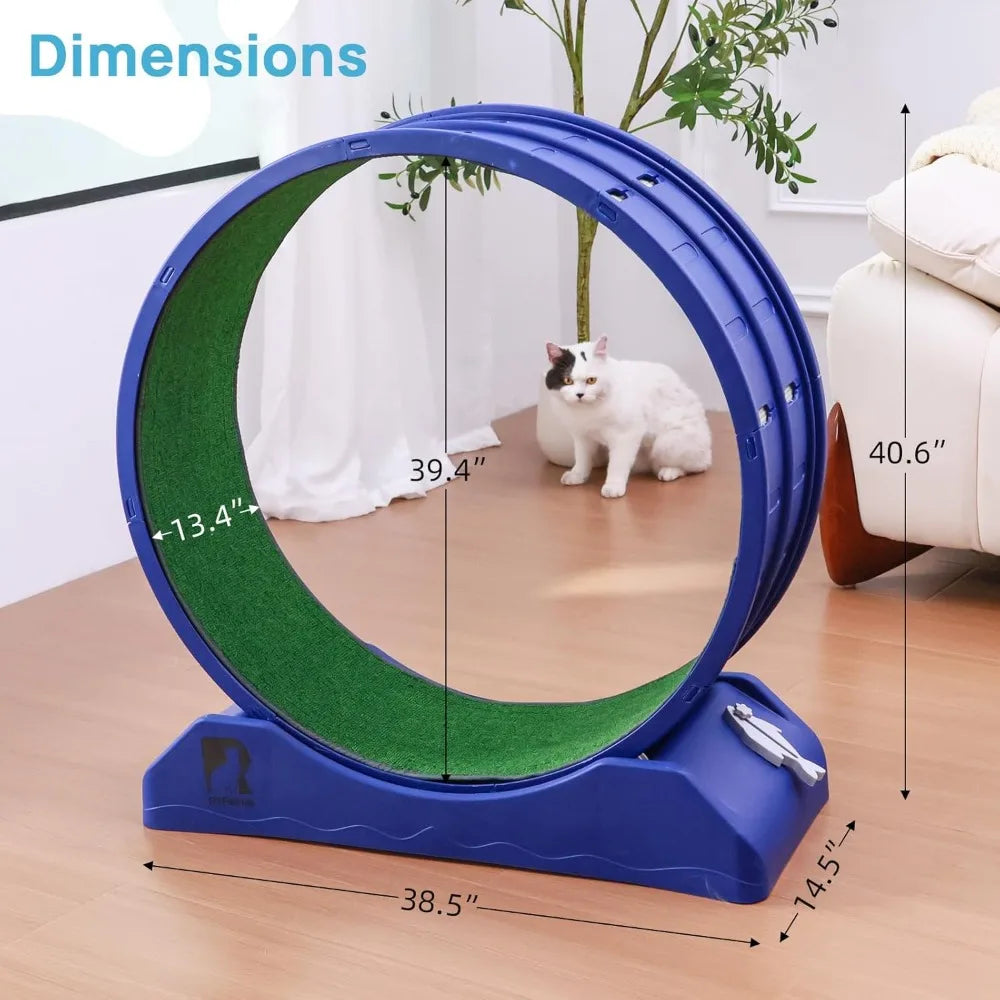 Cat Exercise Wheel