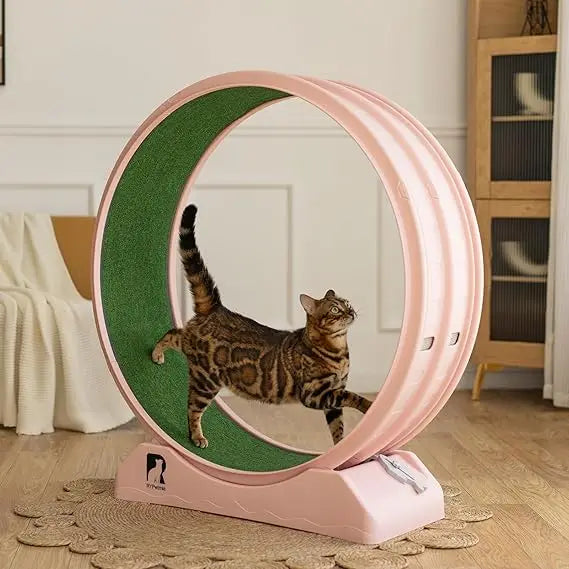 Cat Exercise Wheel