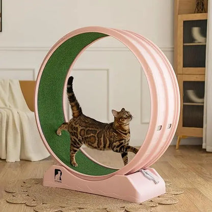 Cat Exercise Wheel